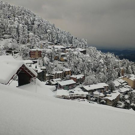 Ymca Tourist Hostel Shimla Ngoại thất bức ảnh